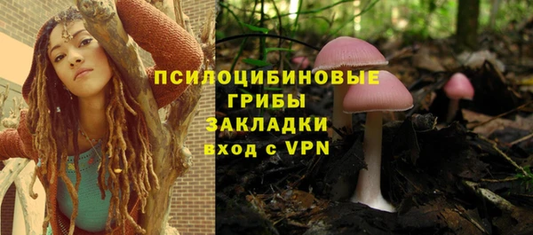 дживик Михайловск