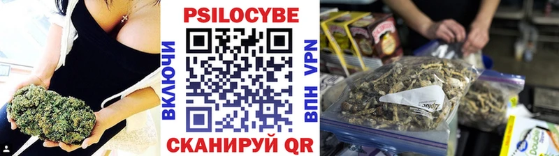 сайты даркнета официальный сайт  Родники  Галлюциногенные грибы мицелий  как найти закладки 